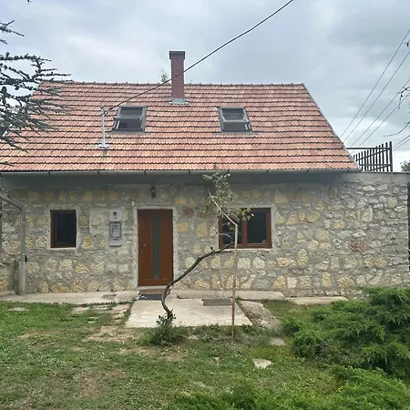 Tatil Evi Szaka Kohaz