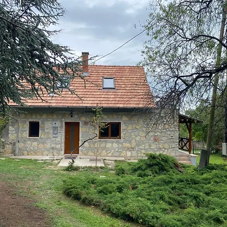 Case de vacanță Szaka Kohaz *